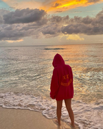 Fuchsia HH Hoodie